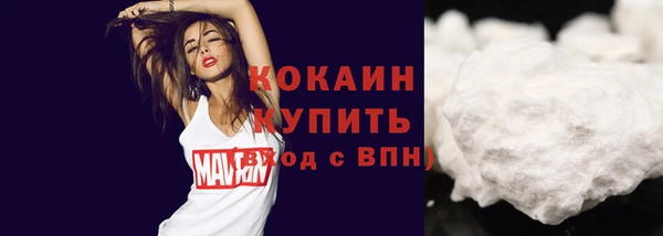 МДПВ Богородицк